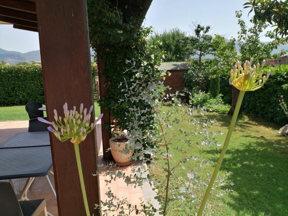 B&B Il Tiglio Padula Exterior photo